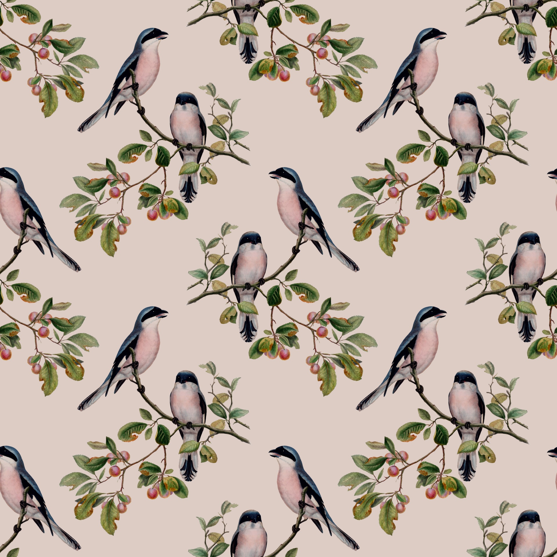 bird-vintage-background-1547020715cla