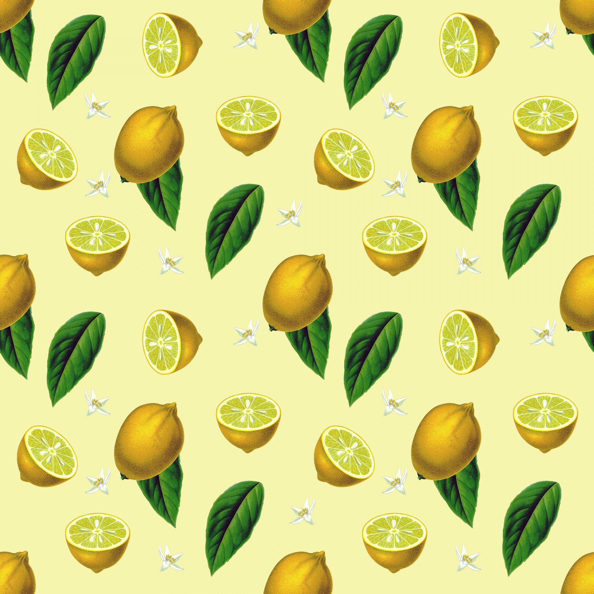 lemon-fruit-vintage-background-163470545242V