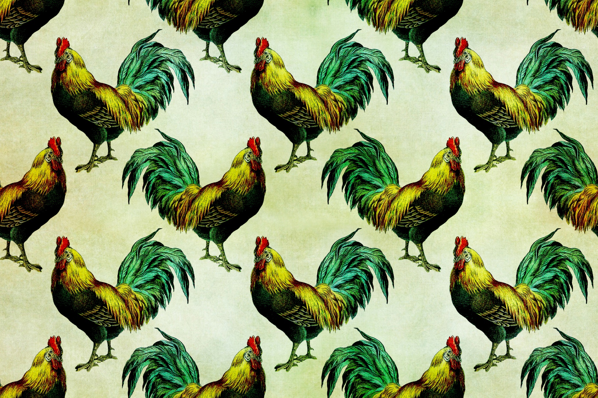 rooster-hen-vintage-illustration